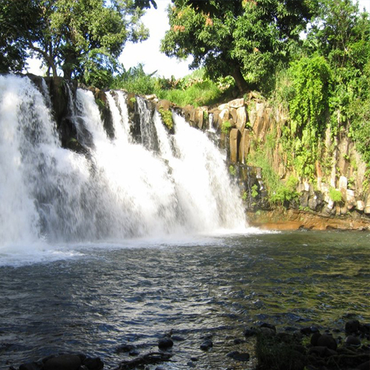 Aktivitäten in Mauritius